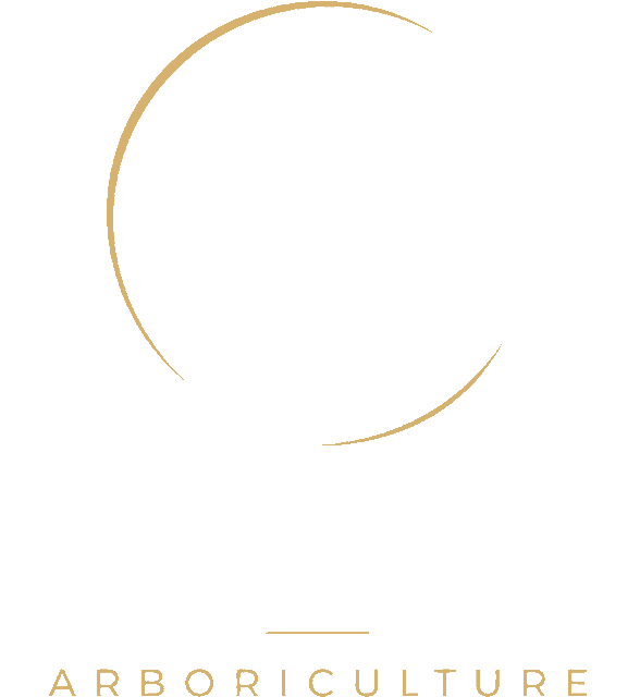 Elite Arboriculture